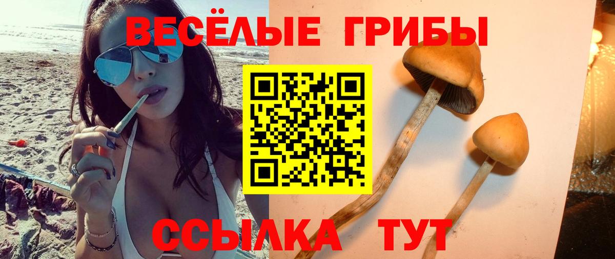 Галлюциногенные грибы ЛСД Зерноград
