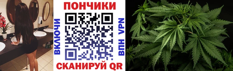 kraken ССЫЛКА  Зерноград  МАРИХУАНА Ganja 