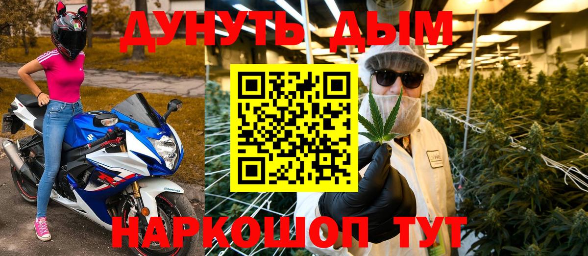 Конопля сатива Зерноград